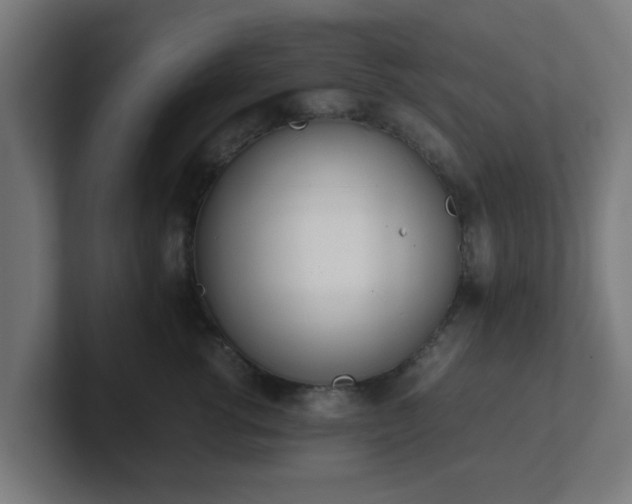 X0000101660762200807171314