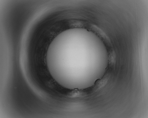 X0000101660764200807171314