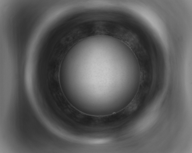 X0000101660765200807171314