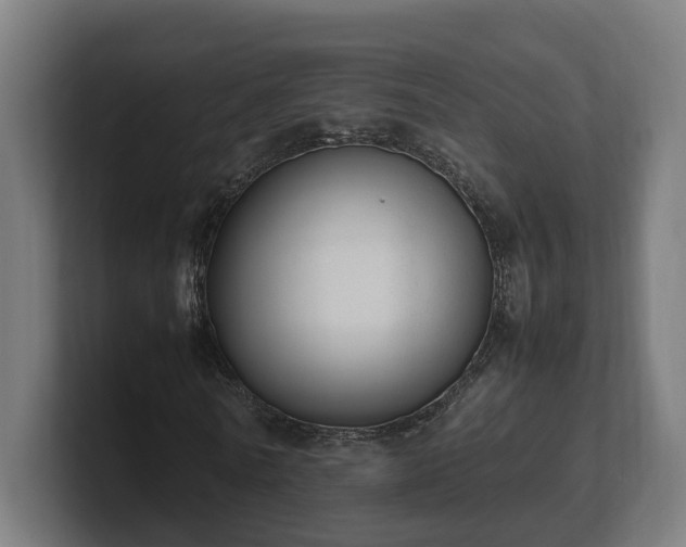 X0000101660770200807171313