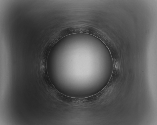 X0000101660771200807171313