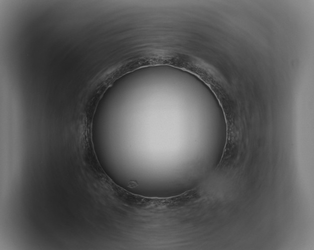 X0000101660773200807171313