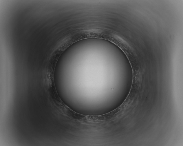 X0000101660774200807171313