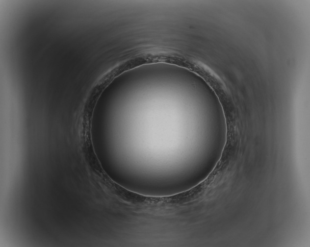 X0000101660775200807171313