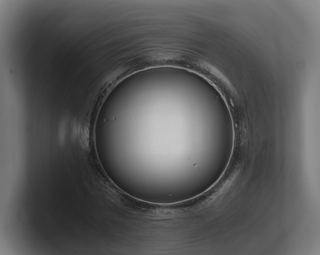 X0000101660777200807171313