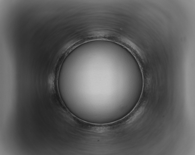 X0000101660778200807171313