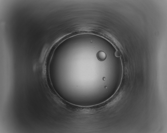 X0000101660779200807171313