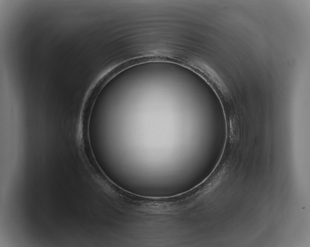 X0000101660780200807171313