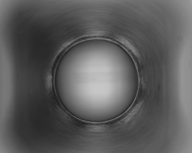 X0000101660781200807171313