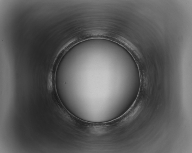 X0000101660782200807171313