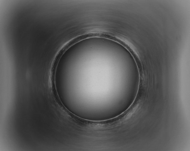 X0000101660783200807171313