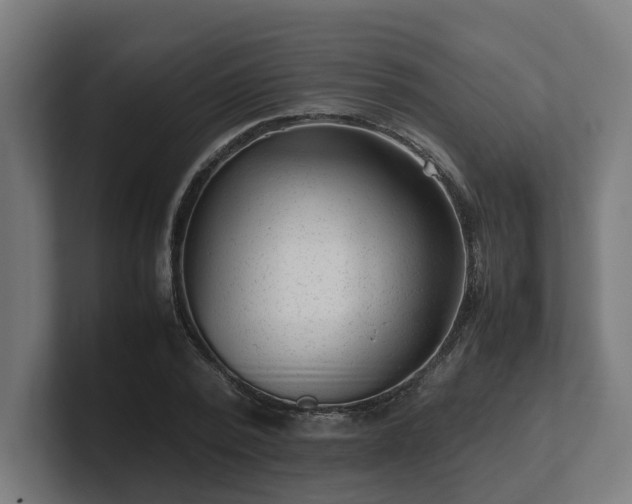 X0000101660784200807171313