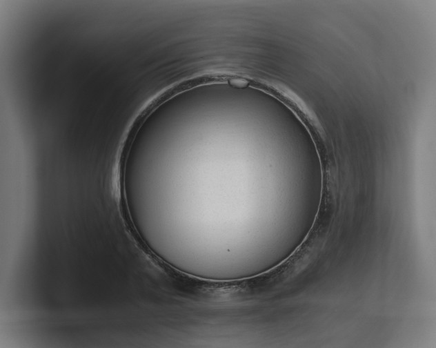 X0000101660791200807171313