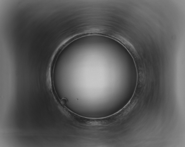 X0000101660792200807171313