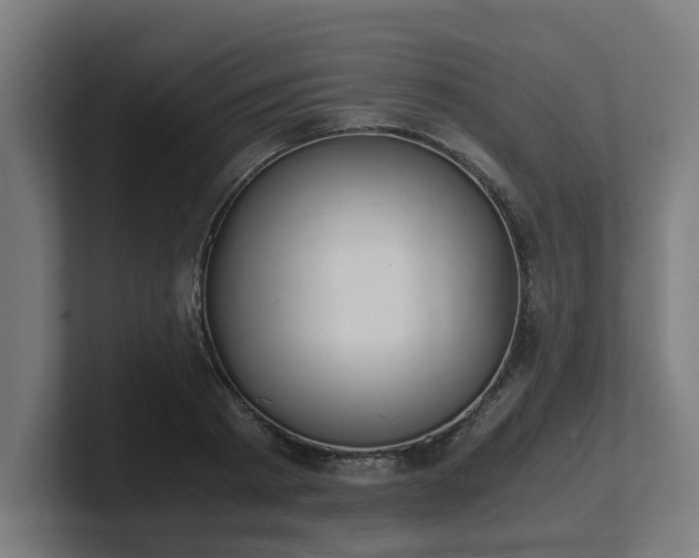 X0000101660793200807171313