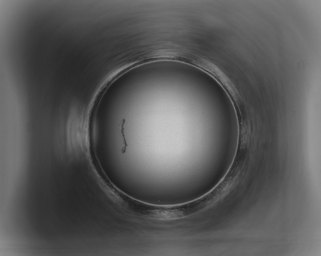 X0000101660795200807171313