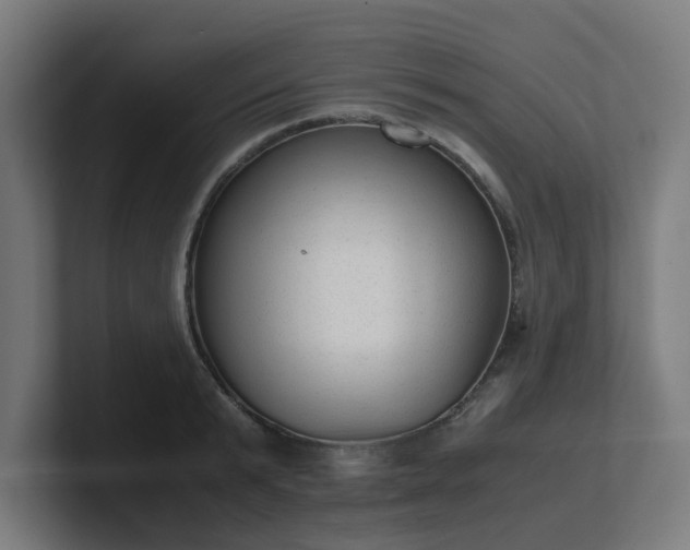 X0000101660799200807171313