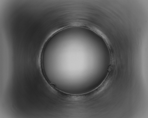 X0000101660803200807171313