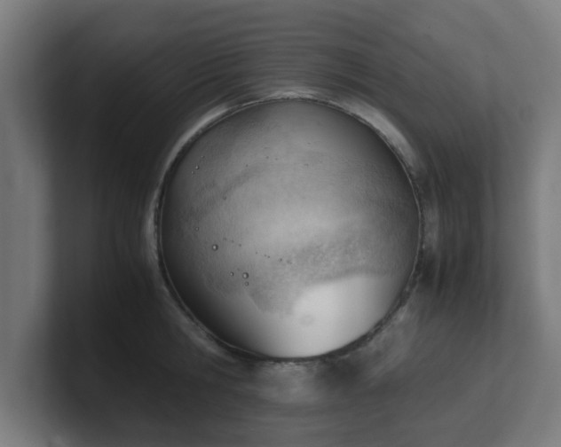 X0000101660806200807171313