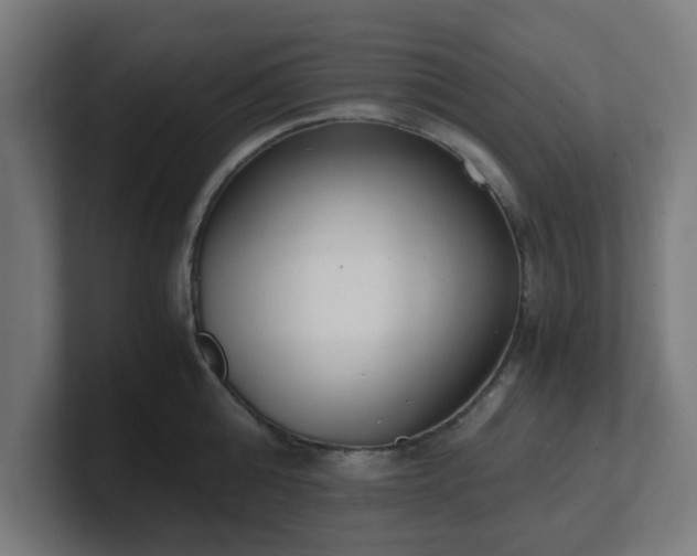 X0000101660808200807171313