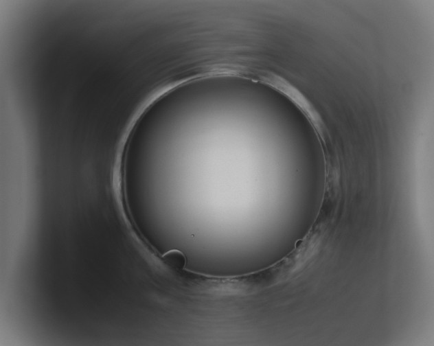 X0000101660811200807171313