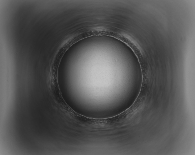 X0000101660823200807171312