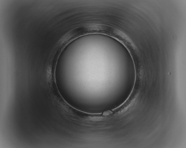 X0000101660825200807171312