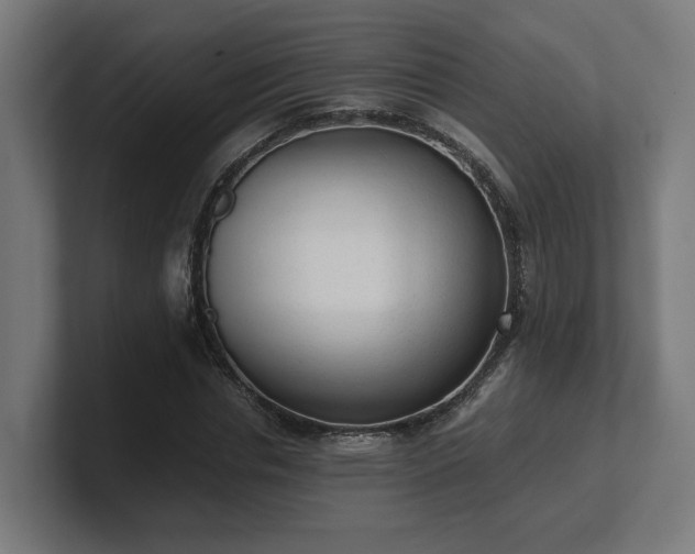 X0000101660826200807171312