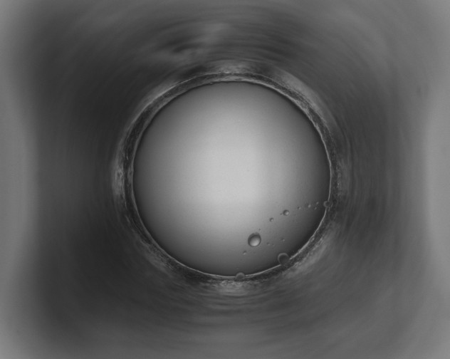 X0000101660827200807171312