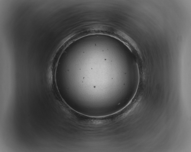 X0000101660829200807171312