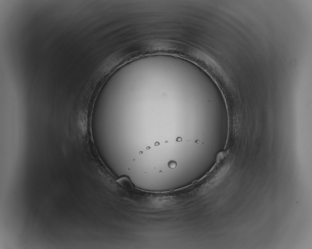 X0000101660833200807171312