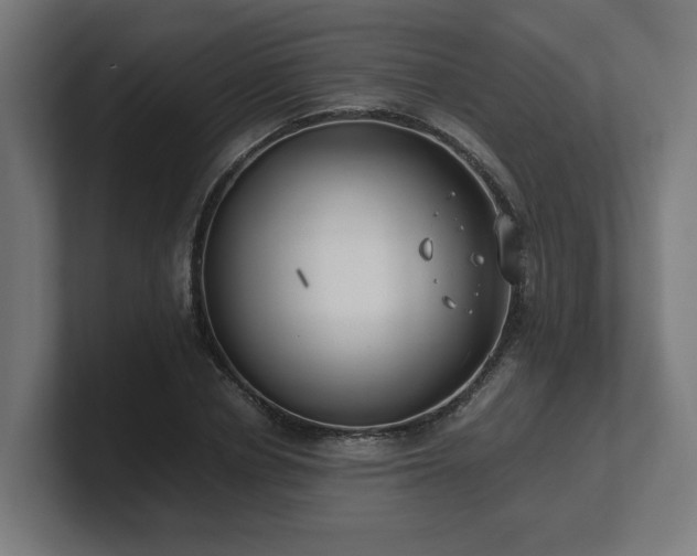 X0000101660834200807171312