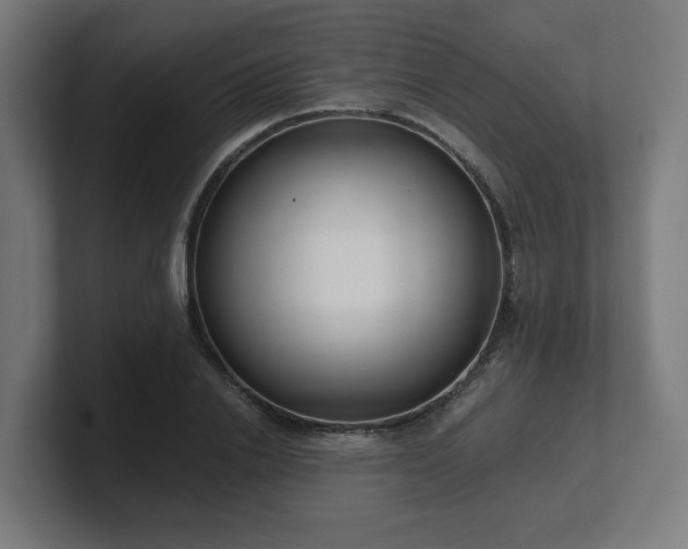 X0000101660838200807171312