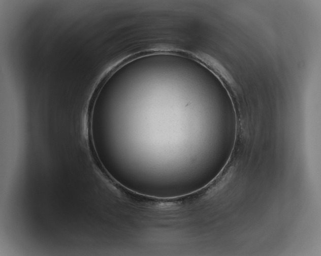 X0000101660839200807171312