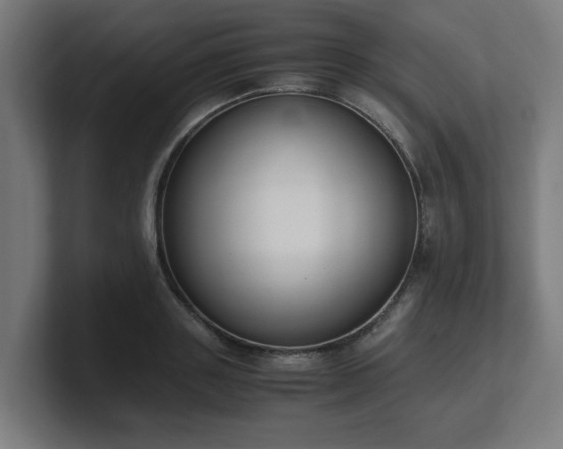 X0000101660843200807171312