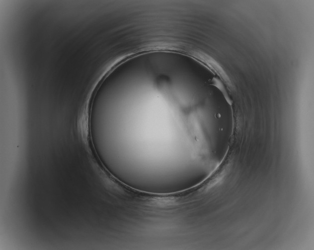 X0000101660844200807171312