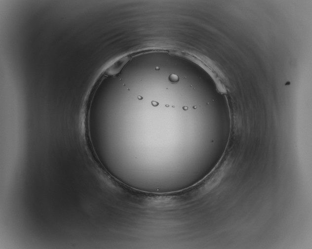 X0000101660846200807171312