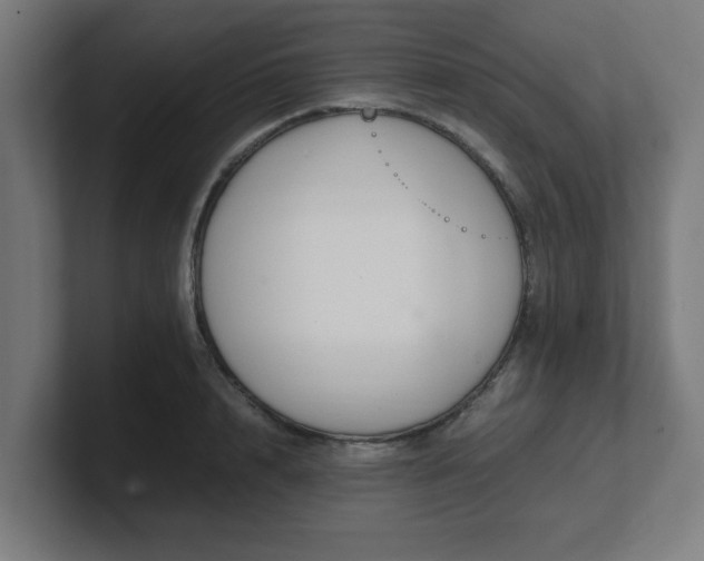 X0000101660848200807171312