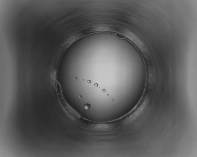 X0000101660849200807171312