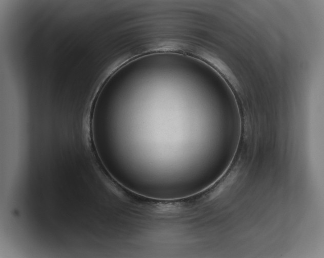 X0000101660850200807171312