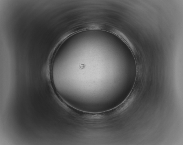 X0000101660851200807171312