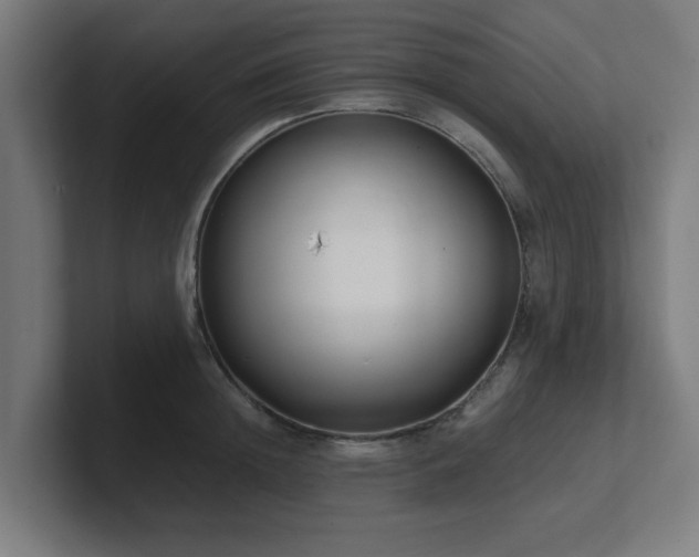 X0000101660852200807171312