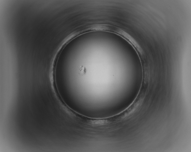 X0000101660853200807171312