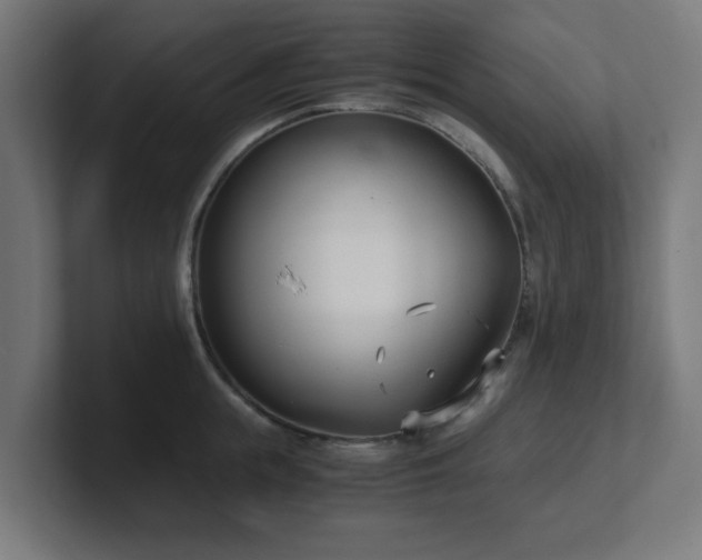 X0000101660855200807171312