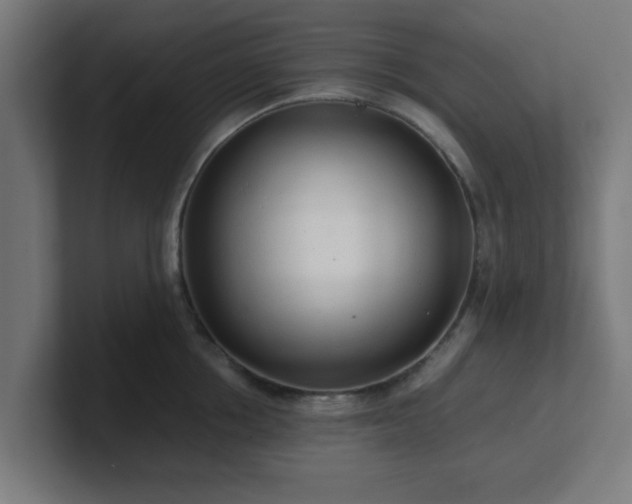 X0000101660858200807171312