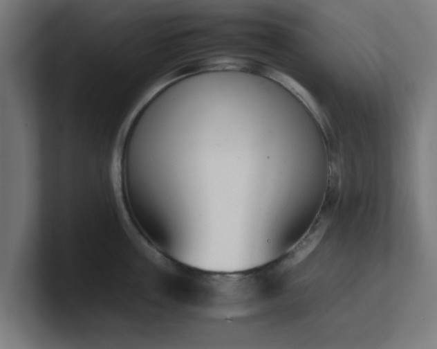 X0000101660859200807171312