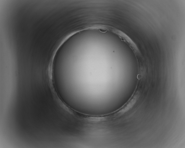 X0000101660860200807171312