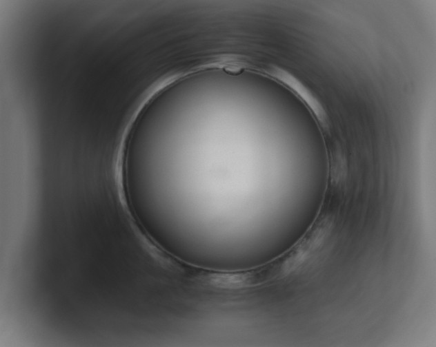 X0000101660861200807171312