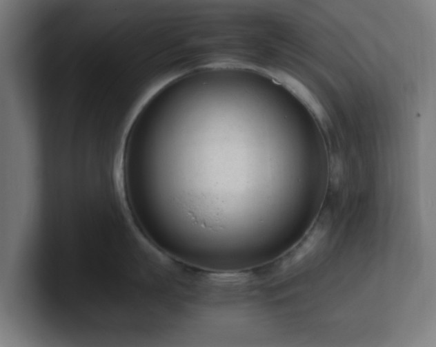 X0000101660863200807171312