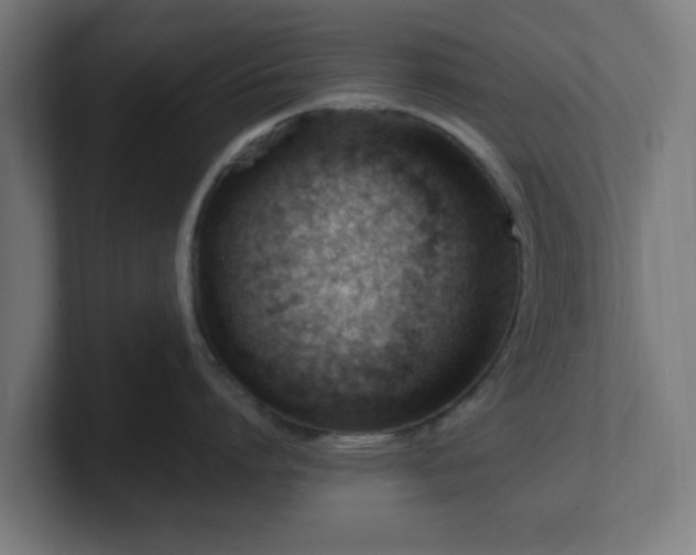 X0000101660864200807171312